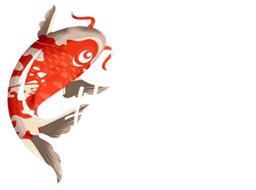 Hibachi on Backyard